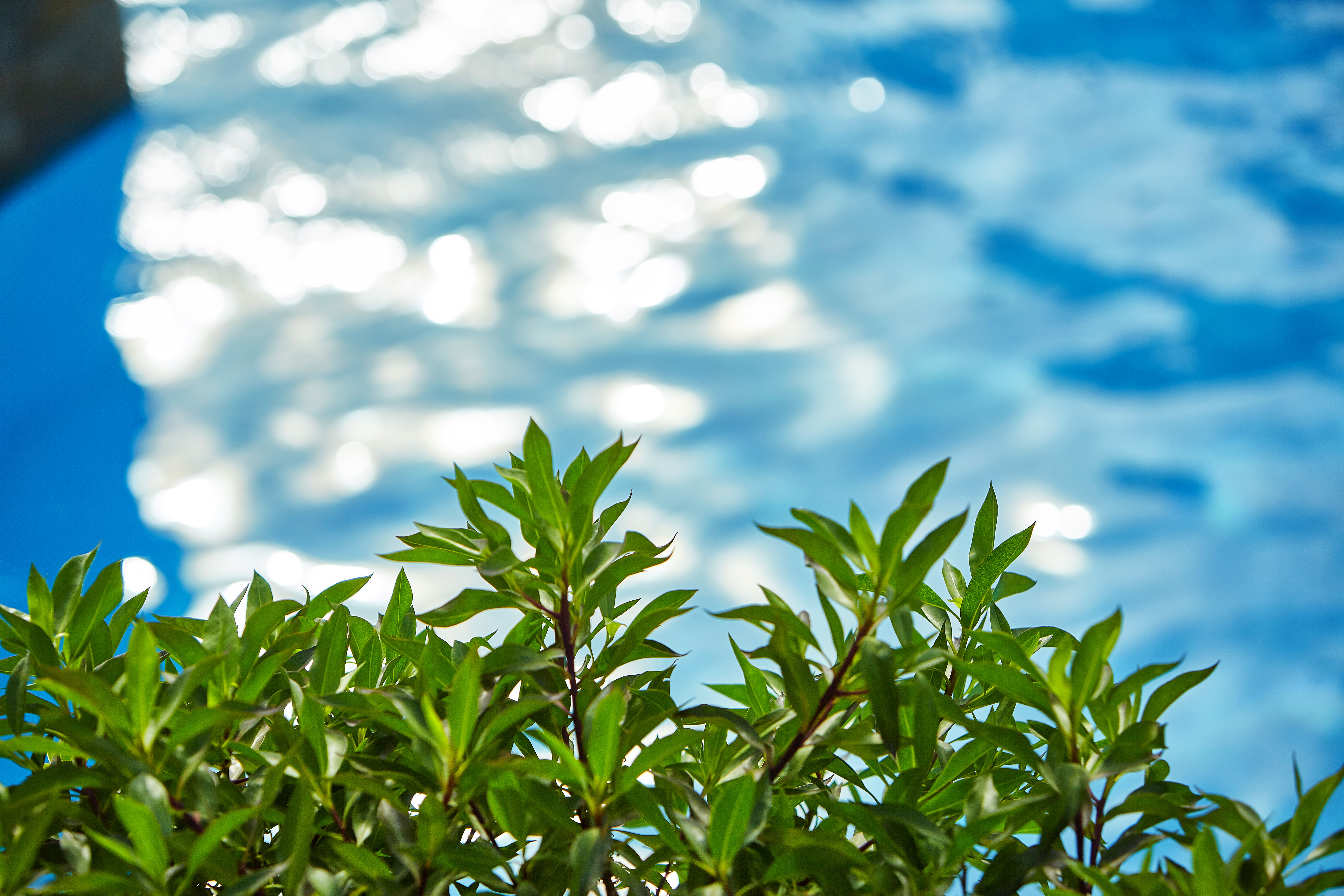 White River Cottages